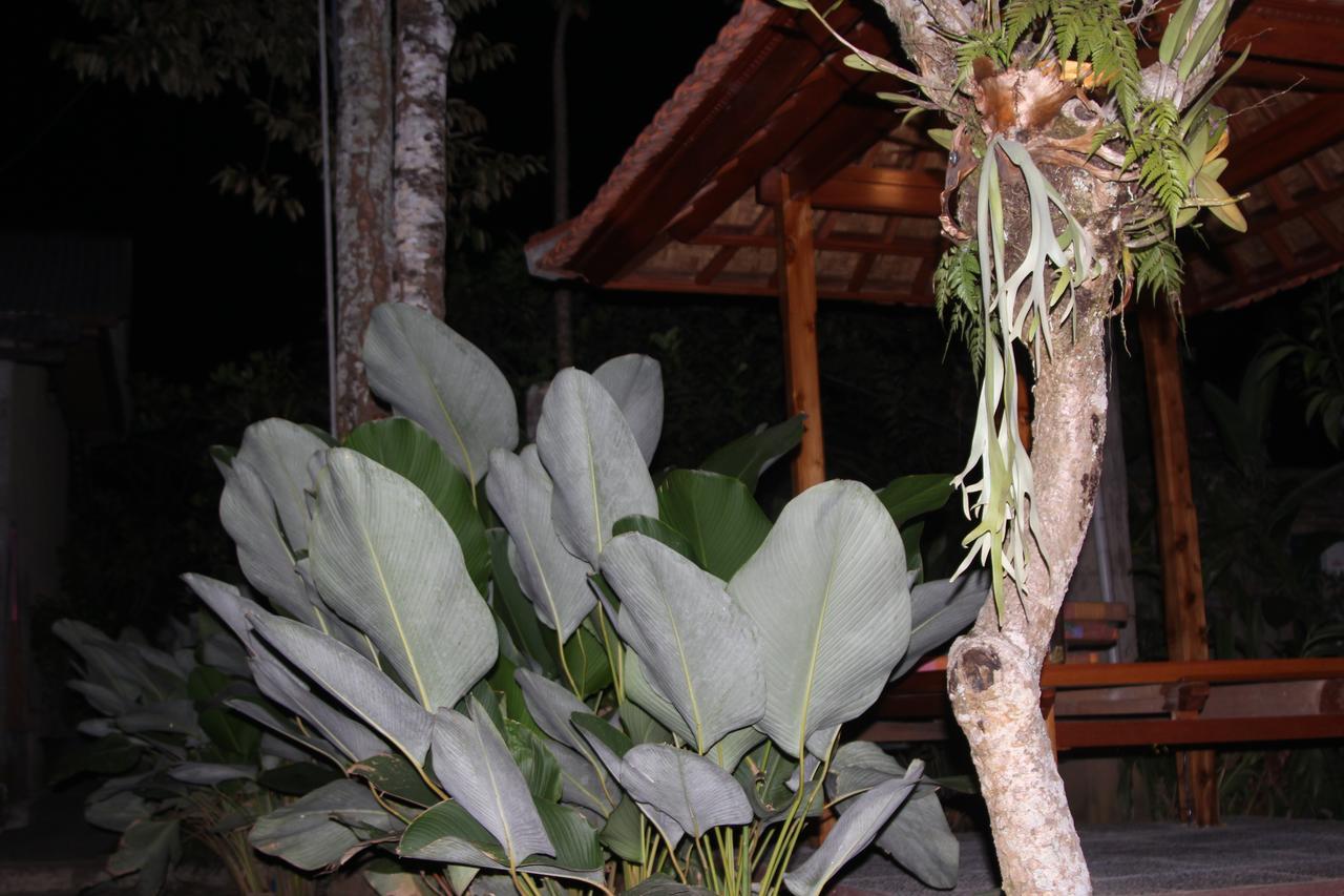 Hotel Jerogadung House Ubud Exterior foto